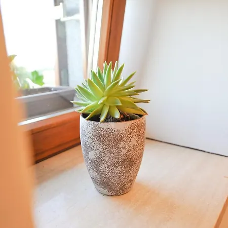 Jernej With Onsite Wellness * Brezice