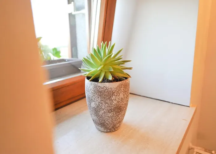 Jernej With Onsite Wellness * Brezice